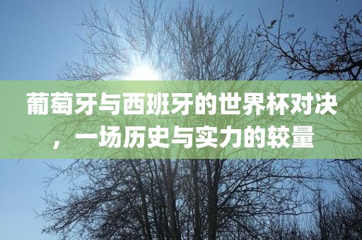 葡萄牙与西班牙的世界杯对决，一场历史与实力的较量