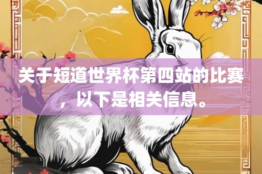 关于短道世界杯第四站的比赛，以下是相关信息。