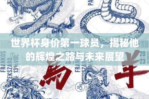 世界杯身价第一球员，揭秘他的辉煌之路与未来展望洛阳市法福文化传播有限公司