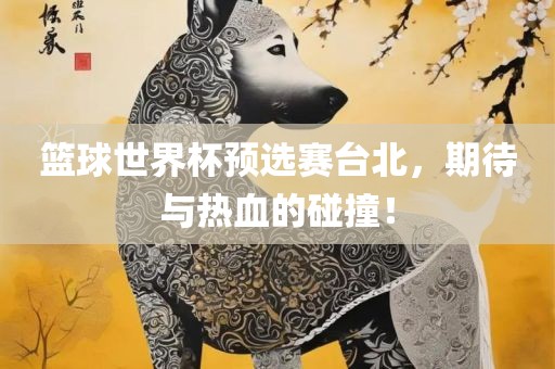 篮球世界杯预选赛台北，期待与热血的碰撞！
