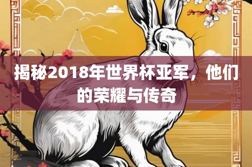揭秘2018年世界杯亚军，他们的荣耀与传奇洛阳市法福文化传播有限公司