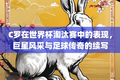C罗在世界杯淘汰赛中的表现，巨星风采与足球传奇的续写洛阳市法福文化传播有限公司