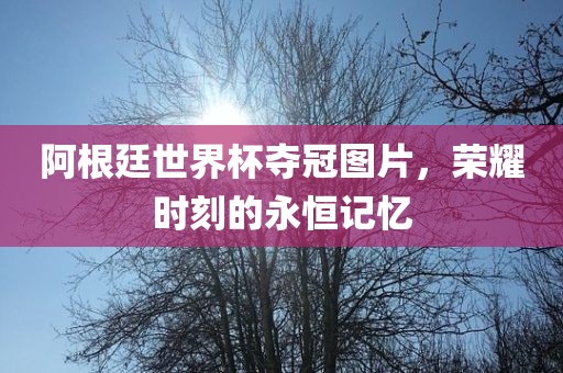 阿根廷世界杯夺冠图片，荣耀时刻的永恒记忆