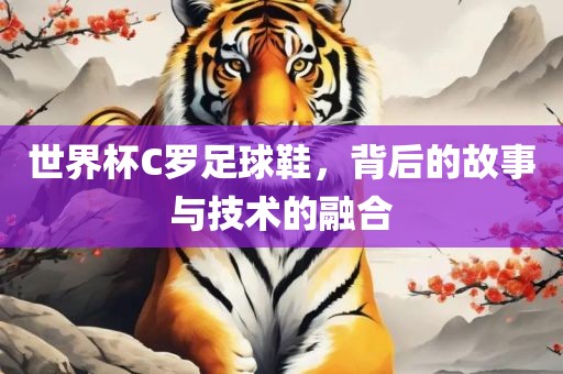 世界杯C罗足球鞋，背后的故事与技术的融合