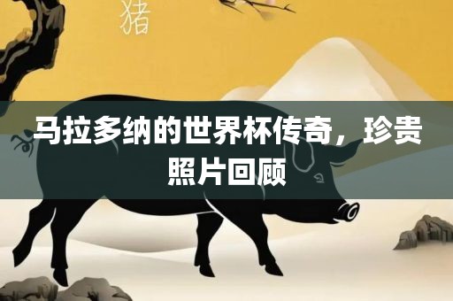 马拉多纳的世界杯传奇，珍贵照片回顾