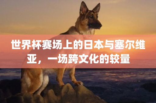 世界杯赛场上的日本与塞尔维亚，一场跨文化的较量