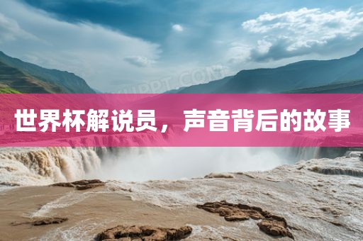 世界杯解说员，声音背后的故事