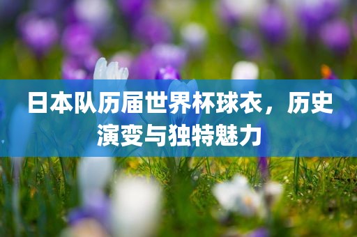 日本队历届世界杯球衣，历史洛阳市法福文化传播有限公司演变与独特魅力