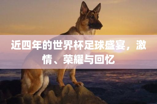 近四年的世界杯足球盛宴，激情、荣耀与回忆