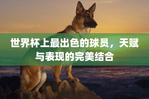 世界杯上最出色的球员，天赋与表现的完美结合