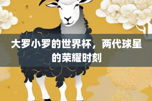 大罗小罗的世界杯，两代球星的荣耀时刻