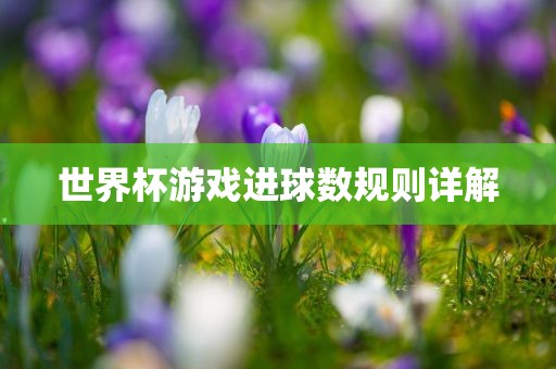 世界杯游戏进球数规则详解