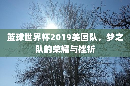 篮球世界杯2019美国队，梦之队的荣耀与挫折