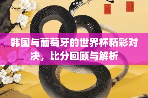 韩国与葡萄牙的世界杯精彩对决，比分回顾与解析
