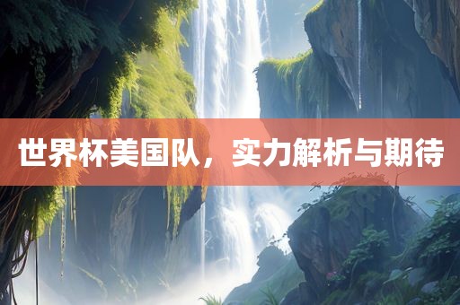 世界杯美国队，实力解析与期待