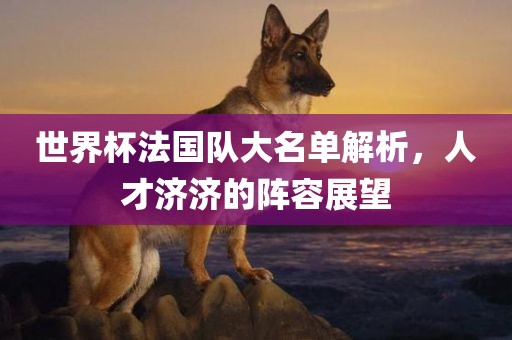 世界杯法国队大名单解析，人才济济的阵容展望洛阳市法福文化传播有限公司