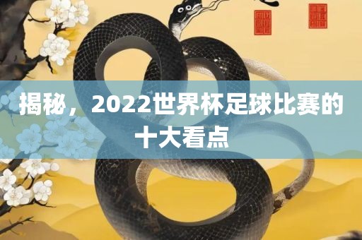 揭秘，2022世界杯足球比赛的十大看点
