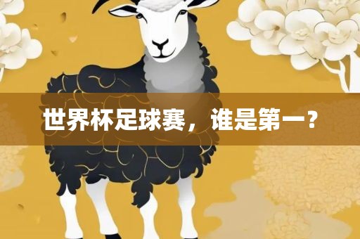世界杯足球赛，谁是第一？