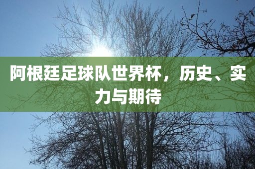 阿根廷足球队世界杯，历史、实力与期待