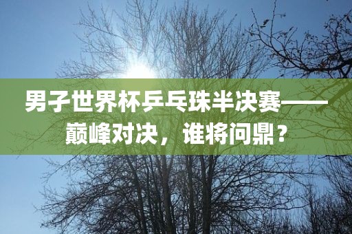 男孑世界杯乒乓珠半决赛——巅峰对决，谁将问鼎？