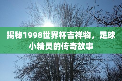 揭秘1998世界杯吉祥物，足球小精灵的传奇故事