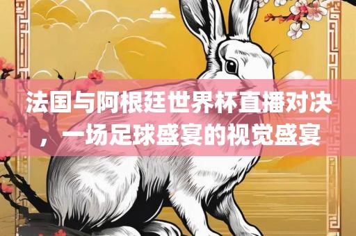 法国与阿根廷世界杯直播对决，一场足球盛宴的视觉盛宴
