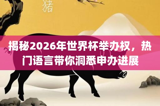 揭秘2026年世界杯举办权，热门语言带你洞悉申办进展