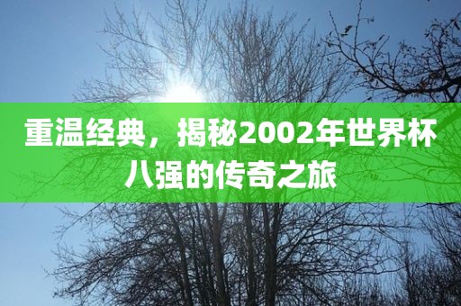 重温经典，揭秘2002年世界杯八强的传奇之旅