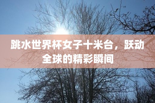 跳水世界杯女子十米台，跃动全球的精彩瞬间