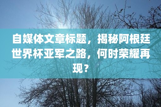 自媒体文章标题，揭秘阿根廷世界杯亚军之路，何时荣耀再现？洛阳市法福文化传播有限公司