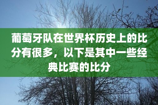 葡萄牙队在世界杯历史上的比分有很多，以下是其中一些经典比赛的比分