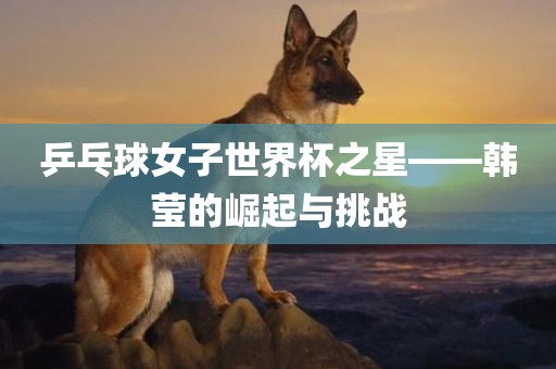 乒乓球女子世界杯之星——韩莹的崛起与挑战洛阳市法福文化传播有限公司