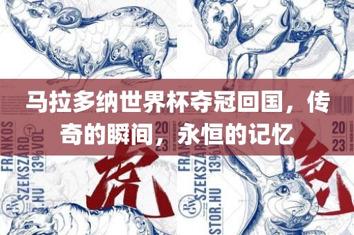 马拉多纳世界杯夺冠回国，传奇的瞬间，永恒的记忆