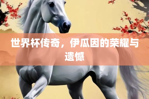 世界杯传奇，伊瓜因的荣耀与遗憾