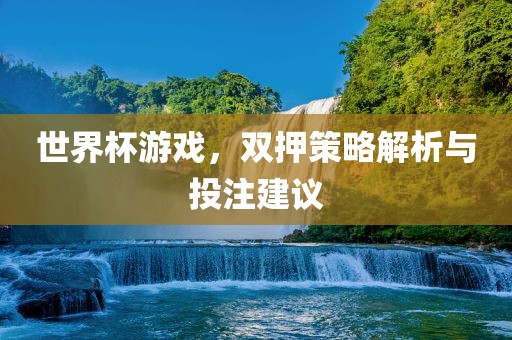 世界杯游戏，双押策略解析与投注建议