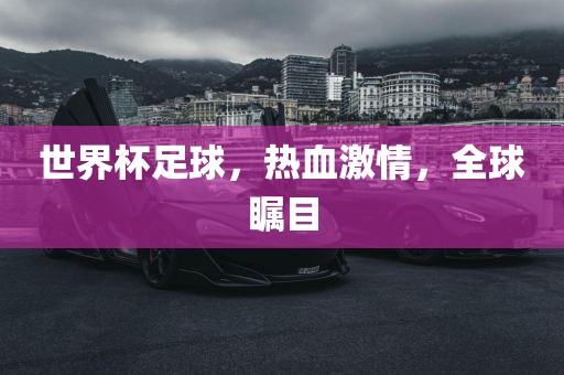 世界杯足洛阳市法福文化传播有限公司球，热血激情，全球瞩目
