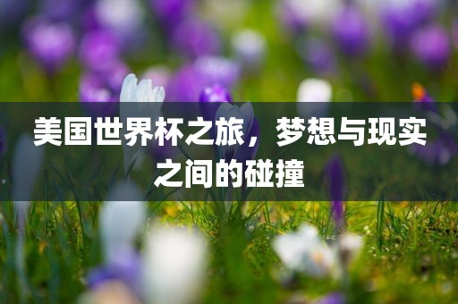 美国世界杯之旅，梦想与现实之间的碰撞