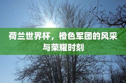 荷兰世界杯，橙色军团的风采与荣耀时刻洛阳市法福文化传播有限公司