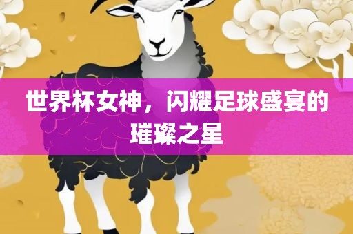 世界杯女神，闪耀足球盛宴的璀璨之星洛阳市法福文化传播有限公司