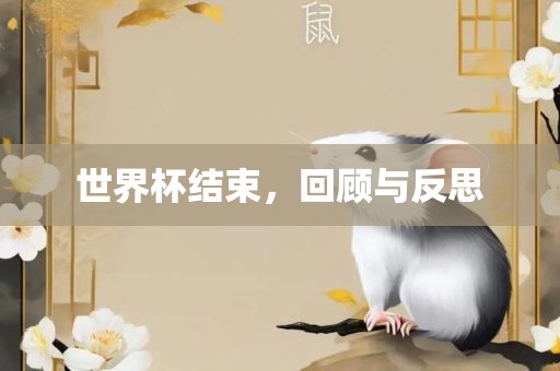 世界杯结束，回顾与反思
