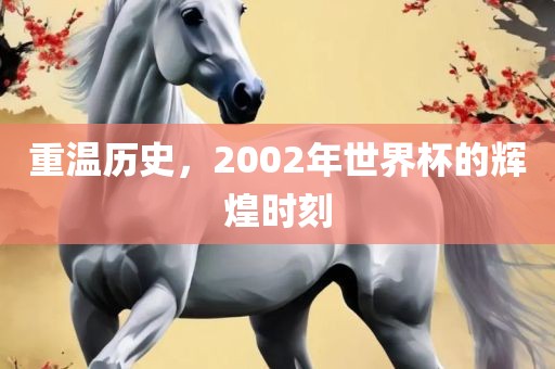 重温历史，2002年世界杯的辉煌时刻