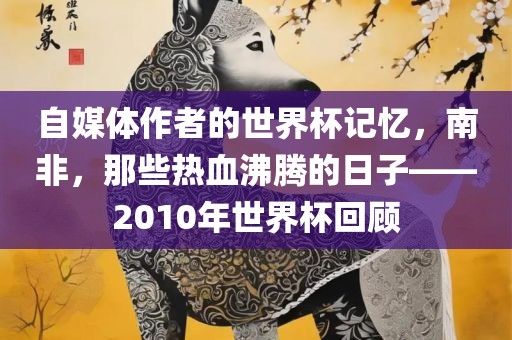 自媒体作者的世界杯记忆，南非，那些热血沸腾的日子——2010年世界杯回顾