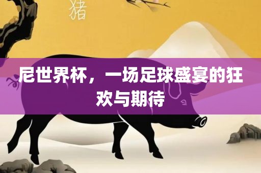 尼世界杯，一场足球盛宴的狂欢与期待