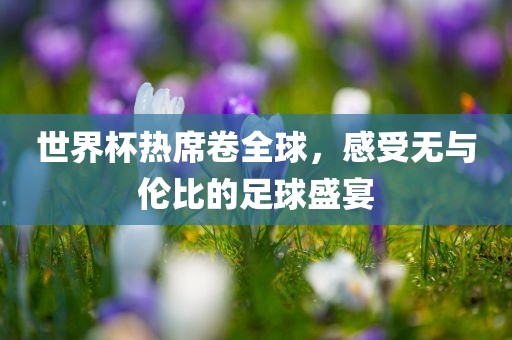 世界杯热席卷全球，感受无与伦比的足球盛宴