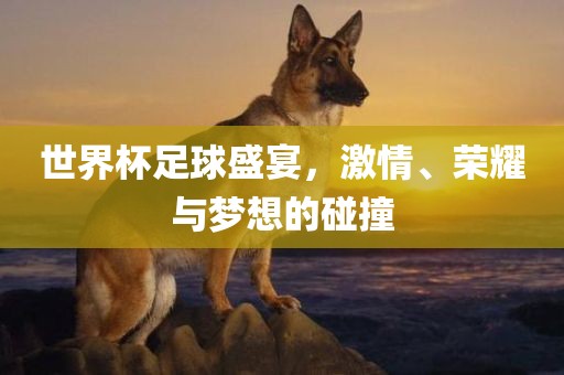 世界杯足球盛宴，激情、荣耀与梦想的碰撞