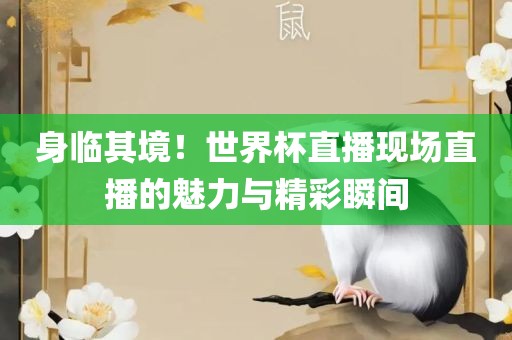 身临其境！世界杯直播现场直播的魅力与精彩瞬间