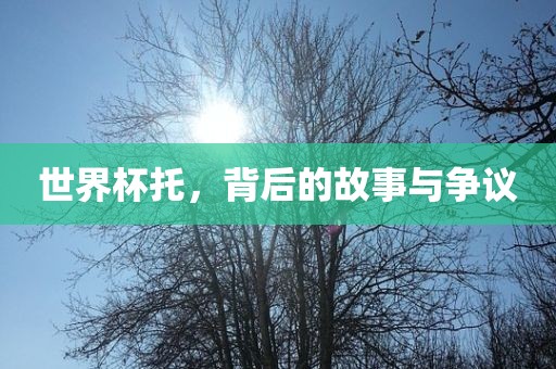 世界杯托，背后洛阳市法福文化传播有限公司的故事与争议