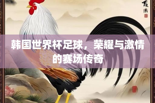 韩国世界杯足球，荣耀与激情的赛场传奇
