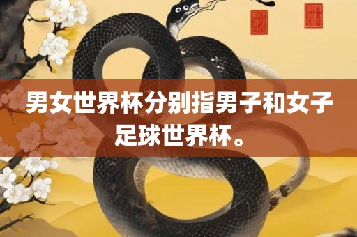 男女世界杯分别指男子和女子足球世界杯。