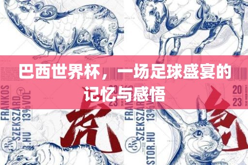 巴西世界杯，一场足球盛宴的记忆与感悟